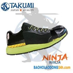 takumi Ninja 2