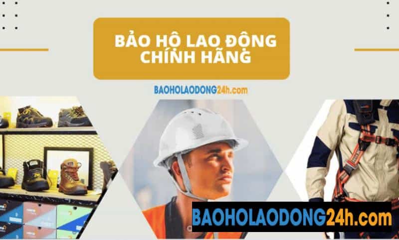 Baoholaodong.com